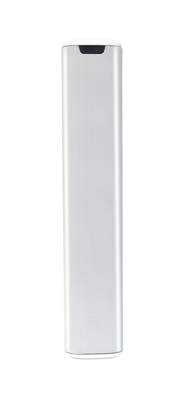 TS-403HW Column Speaker